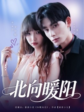 北向暖阳(全集)