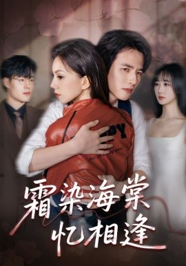 霜染海棠忆相逢(全集)