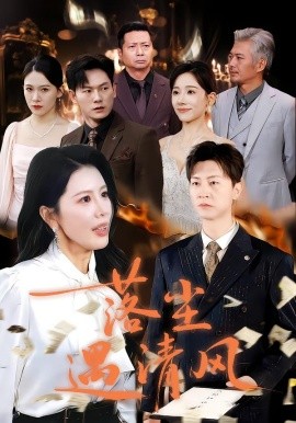 落尘遇清风 离婚而已(全集)